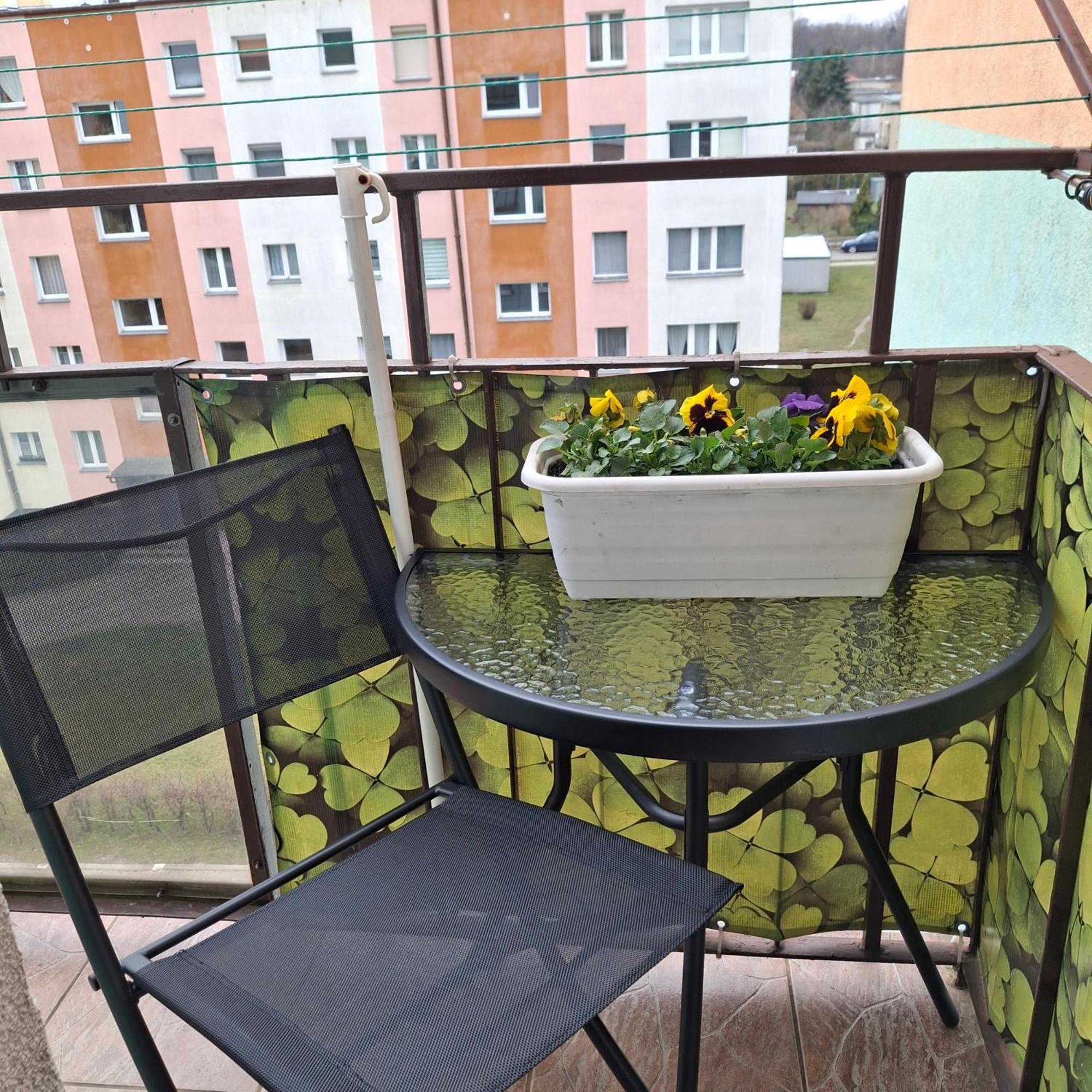 Apartament Agnes グニェズノ エクステリア 写真